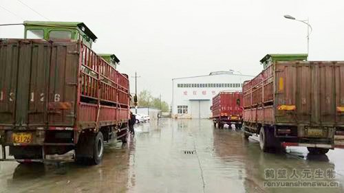 ɽ�|�ЙC���O������l(f��)؛-�b܇�ꮅ