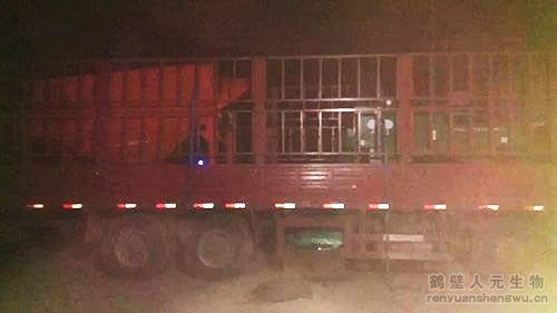 ɽ���ЙC(j��)���O(sh��)���b܇(ch��)�F(xi��n)��(ch��ng)3