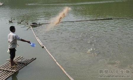 ��a(ch��n)20�f(w��n)���u�S���Ãr(ji��)ֵ�c�ЙC(j��)�����a(ch��n)��