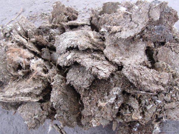 �u�S�ЙC(j��)�ʼӹ��O(sh��)��������B(y��ng)ֳ��(ch��ng)�ṩ�h(hu��n)���³�·