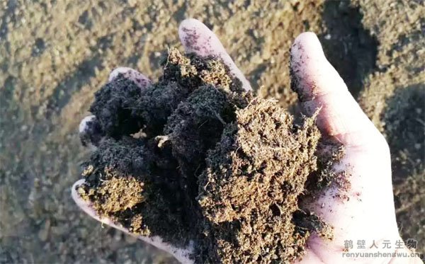 �����C�����ӌ����ݼS���D�����ЙC���ϵ���